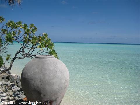 Stone urn on the beach beside a tree, clear turquoise water