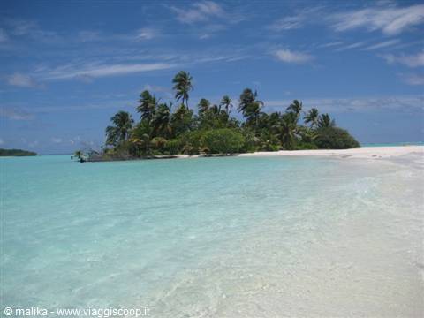 Palm-covered islet on white sand with turquoise lagoon under blue sky