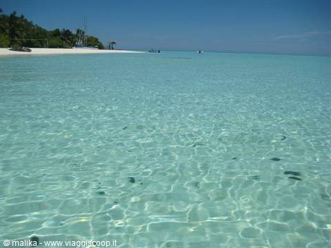 Clear turquoise water over white sand, tropical beach with palms and boat