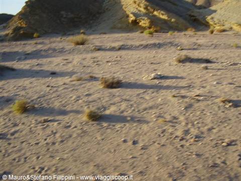 THE DESERT