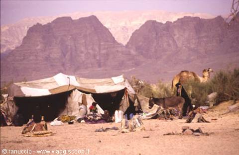 Bedouin camp with fabric tents and a camel in Wadi Rum desert