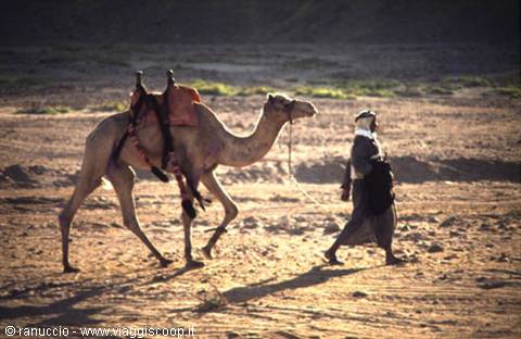 Bedouin in dark robe leading a saddled camel across desert sand