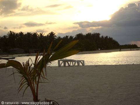 White sand beach with palms, table in shallow water, tropical island