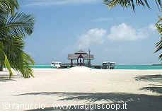 Wooden jetty over turquoise water between palms and white sand, Maldives