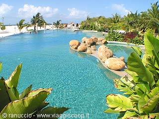 Tropical pool with rock boulders among green plants and palm trees in sunshine