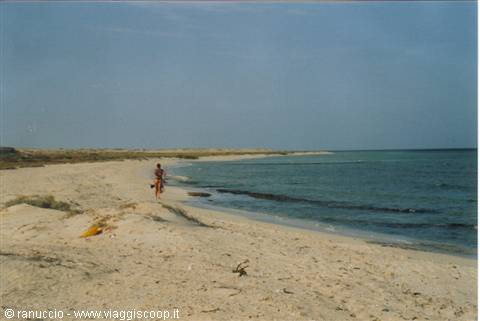 Child with bucket walks on white sand near dunes and turquoise sea