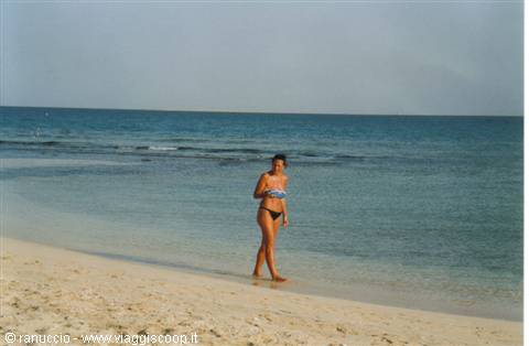 Woman in bikini walks on wet sand by the turquoise sea