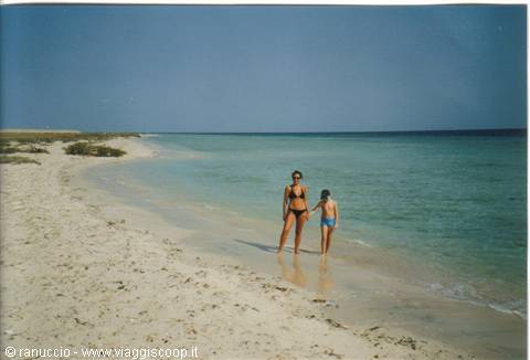 Woman and child wading in clear turquoise water on white sand beach