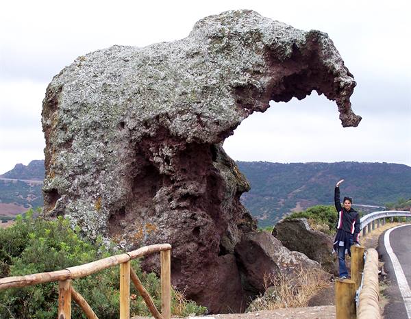 Elephant Rock