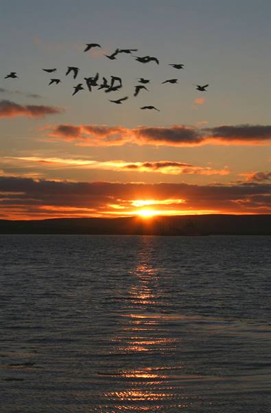 Sunset on the Orkney islands