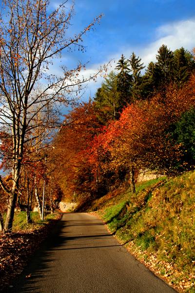 Avelengo (above Merano) - South Tyrol