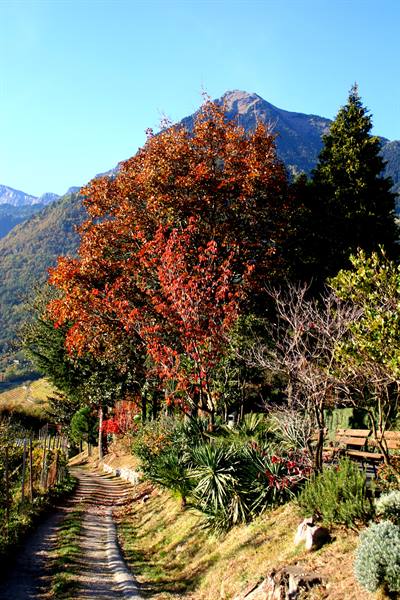 Merano (BZ) - South Tyrol