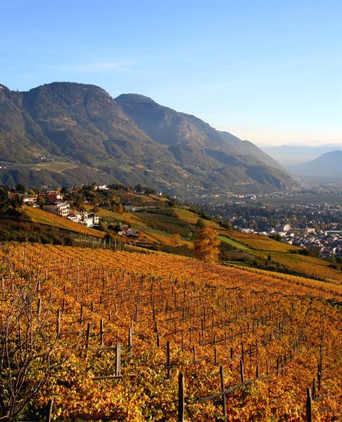 Merano (BZ) - South Tyrol