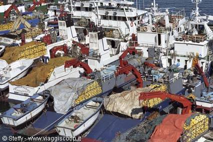 Fishing boats with red cranes unloading yellow fish crates at harbor
