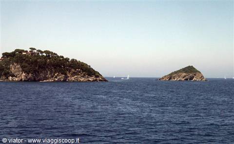 Mice Island