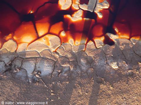 Red salt pond water over cracked white salt crust on dry ground