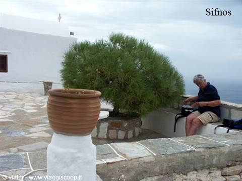 Sifnos: man sitting on white wall beside terracotta pot and pine tree