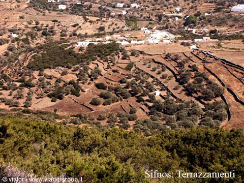 Sifnos: terraced farmland among Mediterranean scrub and whitewashed houses