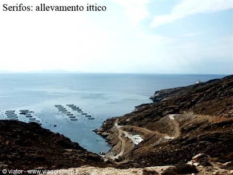 Floating fish farm cages in a Serifos cove