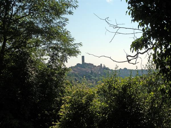 Magliano in Toscana