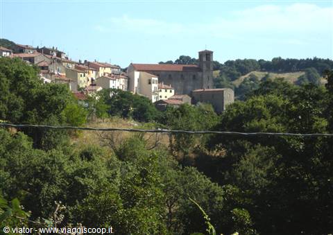 Scansano