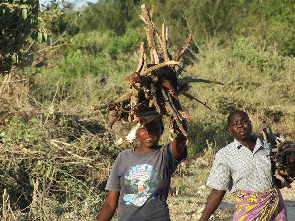 transporting firewood