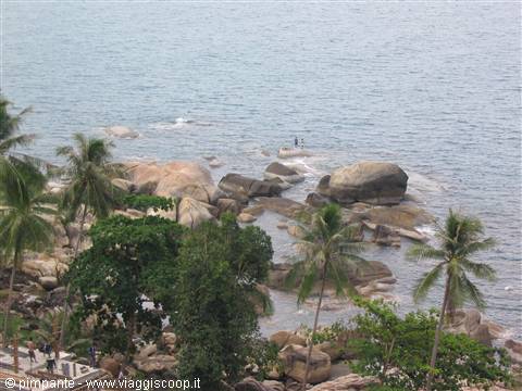 samui earthly paradise