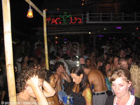 Crowd partying at night at the Cactus bar, neon signs and bamboo poles
