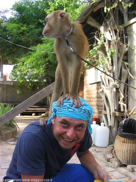 who is the man and who is the monkey?