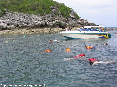 a bit of snorkeling