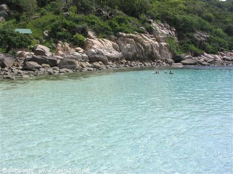 koh tao wonderful