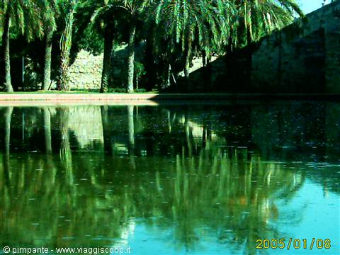 Palm trees reflected in green water beside ancient stone walls