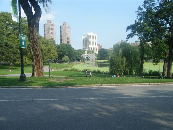 CENTRAL PARK