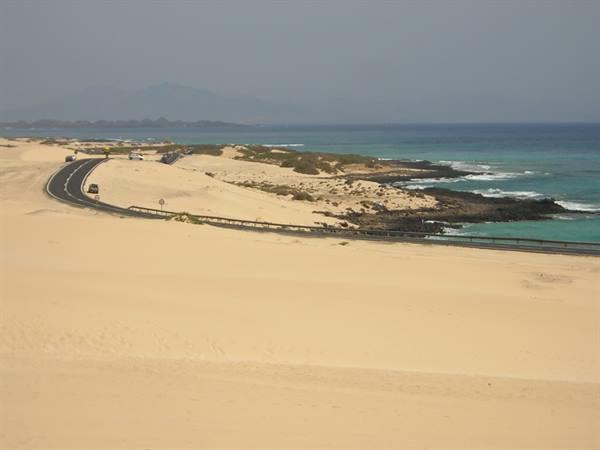 THE DUNES ON THE SEA