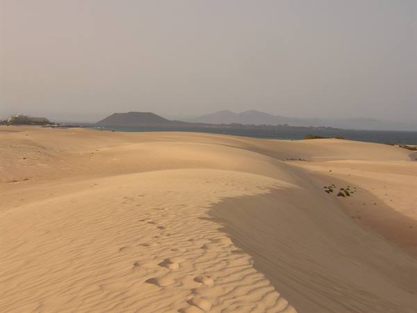 SAND DUNES