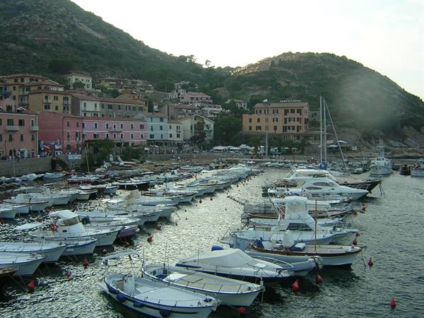 THE HARBOUR
