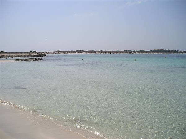 Llevant