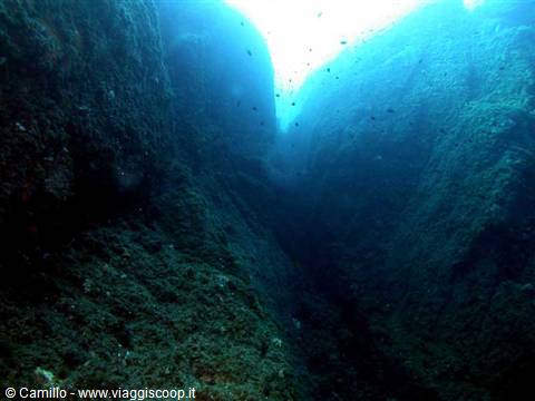Underwater channel between algae-covered rocks, blue light above, small fish
