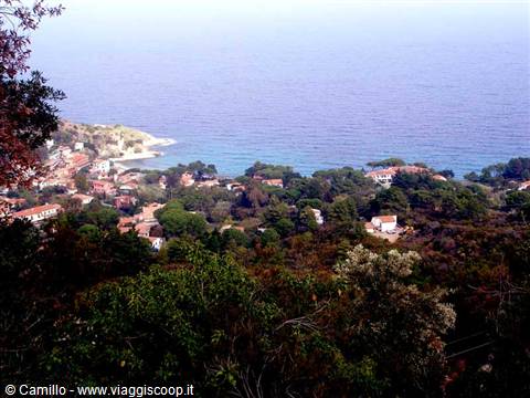 Village with red roofs among green trees by turquoise sea