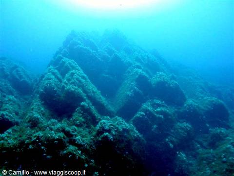 Algae-covered underwater reef, sunlight filtering through blue water