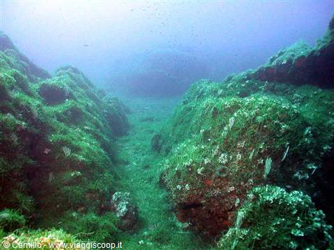 Seabed with algae-covered rocks, sunlight filtering through blue water