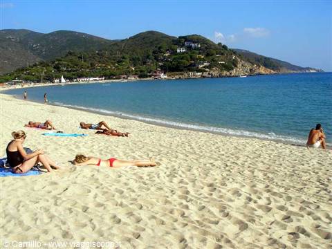 Sunbathers relax on the sand of a green beach with turquoise water