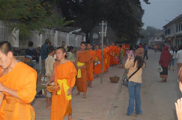 Orange-robed monks in morning alms procession on a street in Luang Prabang