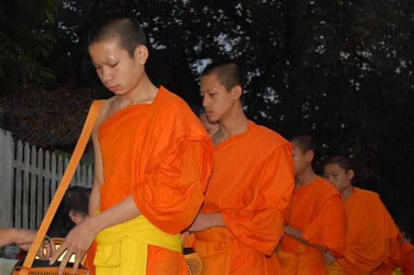 Young Buddhist monks in orange robes receiving morning alms