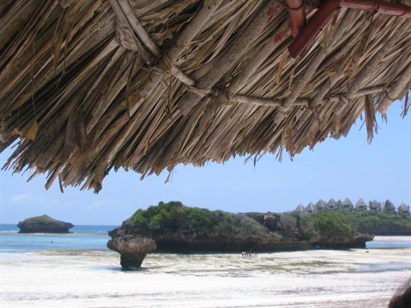 Under a thatched roof, white sand beach and green rocks face the ocean