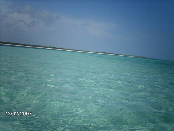 Clear turquoise water in front of a sandy strip with vegetation