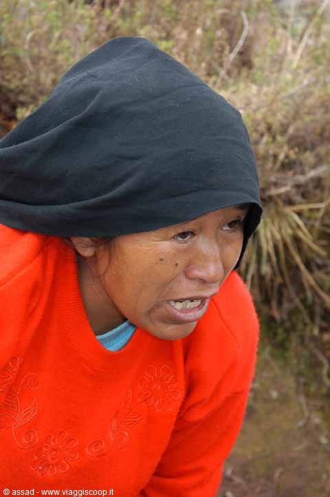 Woman in black headscarf and red embroidered sweater among dry bushes