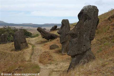 Volcanic stone Moai statues scattered on the grassy slope of Rano Raraku