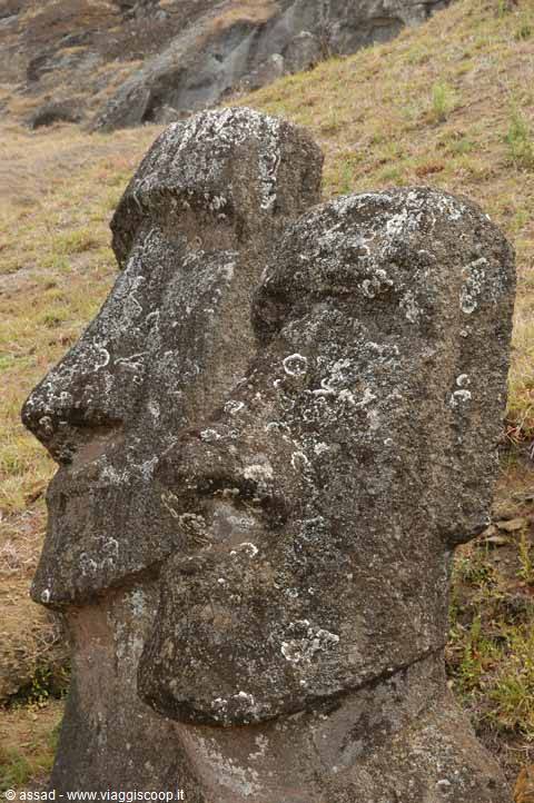 Lichen-covered stone moai statues on the volcanic slope of Rano Raraku