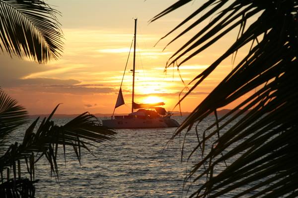 Catamaran anchored at sea framed by palm fronds, golden sun setting on horizon